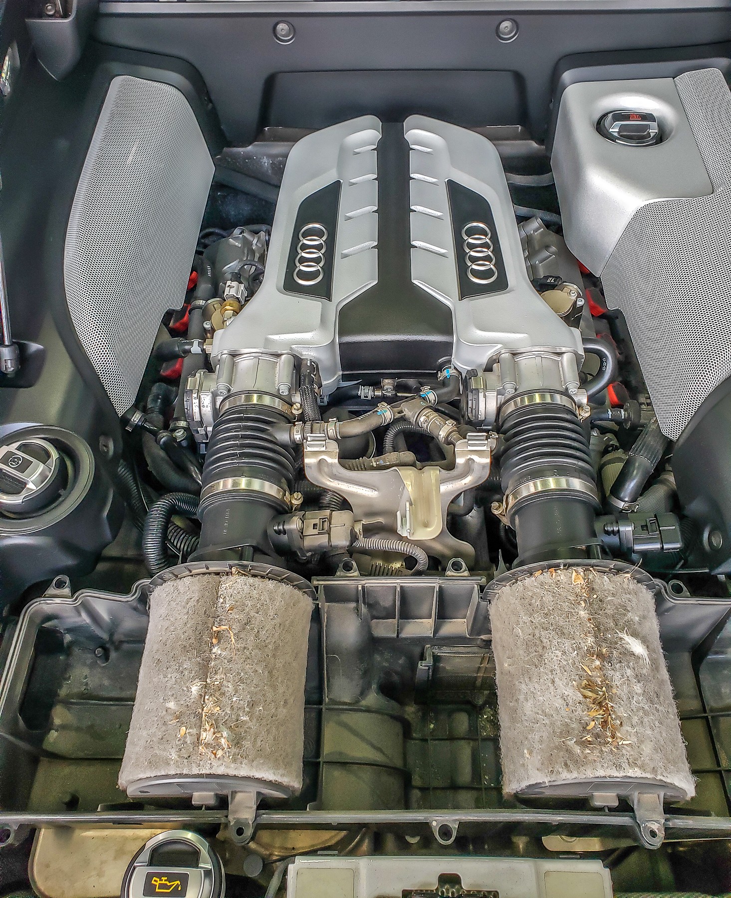 Audi R8 Engine